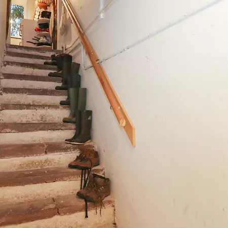 The Roses Сasa de vacaciones Windermere